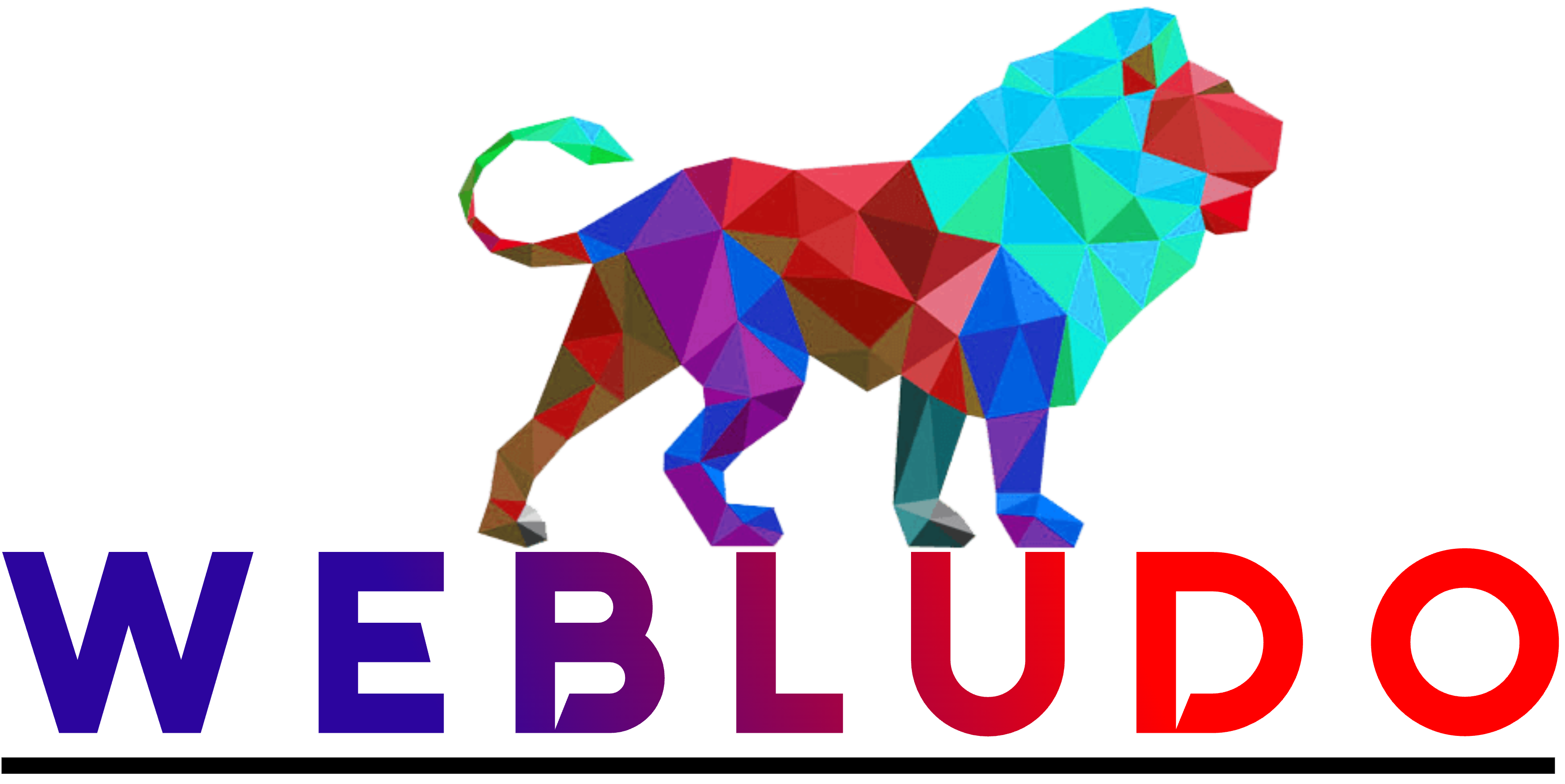 Web Design by Webludo